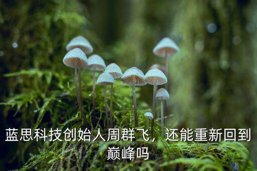 藍(lán)思科技創(chuàng)始人周群飛，還能重新回到巔峰嗎