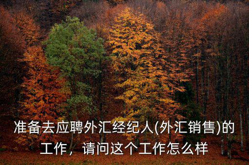 準(zhǔn)備去應(yīng)聘外匯經(jīng)紀(jì)人(外匯銷售)的工作，請問這個工作怎么樣