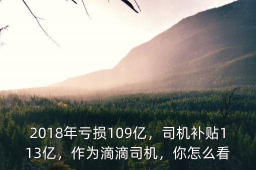 2018年虧損109億，司機補貼113億，作為滴滴司機，你怎么看