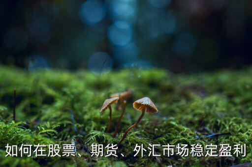 如何在股票、期貨、外匯市場(chǎng)穩(wěn)定盈利