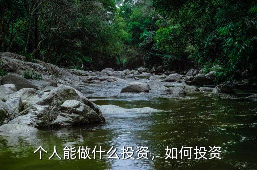 個人能做什么投資，如何投資