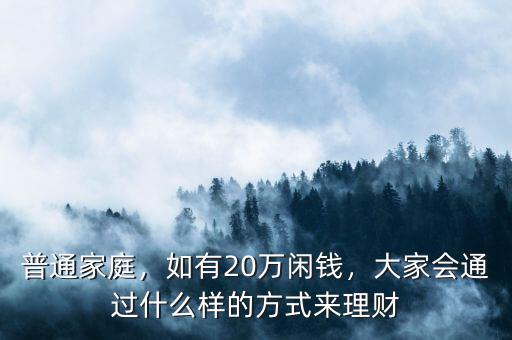 普通家庭，如有20萬閑錢，大家會通過什么樣的方式來理財