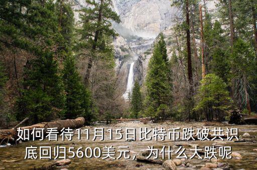 如何看待11月15日比特幣跌破共識底回歸5600美元，為什么大跌呢