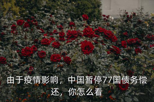 由于疫情影響，中國暫停77國債務(wù)償還，你怎么看