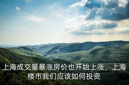 上海成交量暴漲房價也開始上漲，上海樓市我們應該如何投資