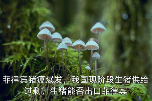菲律賓豬瘟爆發(fā)，我國現(xiàn)階段生豬供給過剩，生豬能否出口菲律賓