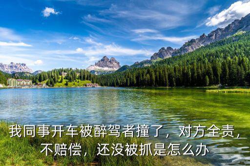 我同事開車被醉駕者撞了，對方全責(zé)，不賠償，還沒被抓是怎么辦