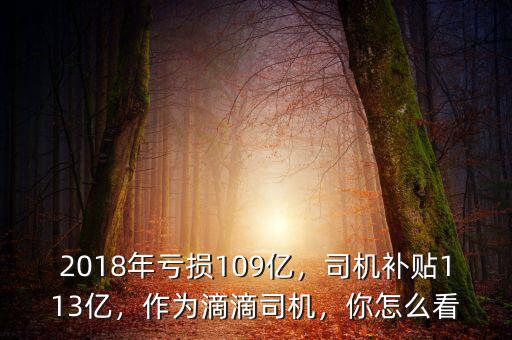 2018年虧損109億，司機補貼113億，作為滴滴司機，你怎么看