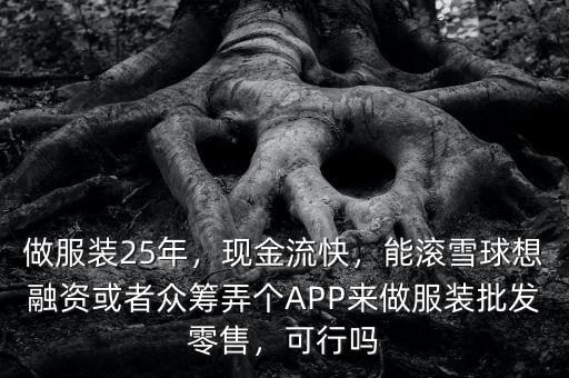 做服裝25年，現(xiàn)金流快，能滾雪球想融資或者眾籌弄個APP來做服裝批發(fā)零售，可行嗎