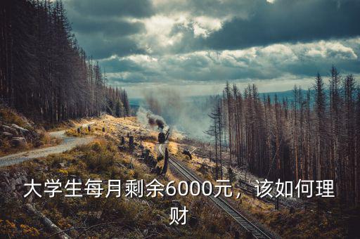 大學(xué)生每月剩余6000元，該如何理財(cái)