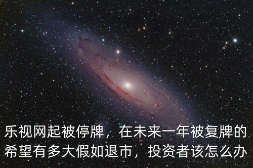 樂(lè)視網(wǎng)起被停牌，在未來(lái)一年被復(fù)牌的希望有多大假如退市，投資者該怎么辦