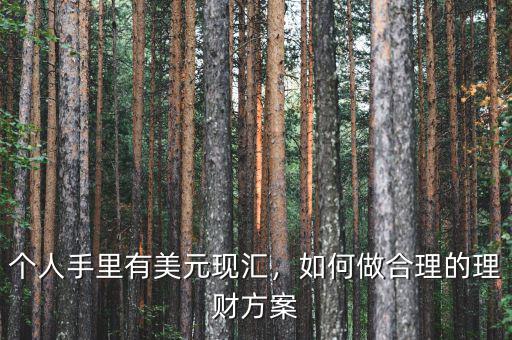個人手里有美元現(xiàn)匯，如何做合理的理財方案