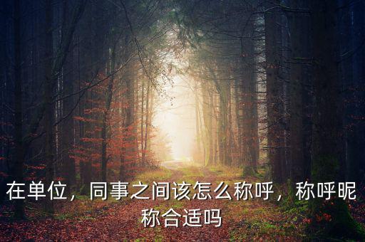 在單位，同事之間該怎么稱呼，稱呼昵稱合適嗎