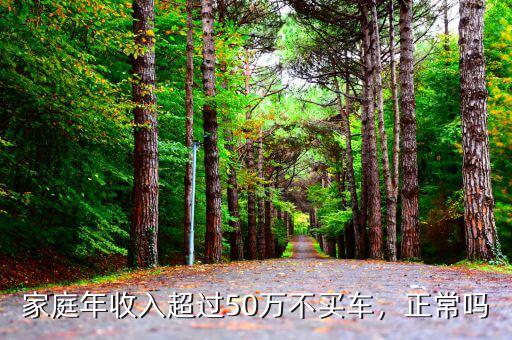 家庭年收入超過(guò)50萬(wàn)不買(mǎi)車(chē)，正常嗎