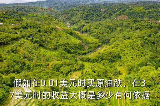 假如在0.01美元時買原油跌，在37美元時的收益大概是多少有何依據(jù)