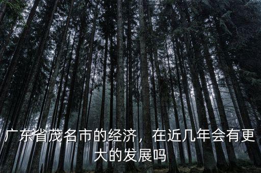 廣東省茂名市的經濟，在近幾年會有更大的發(fā)展嗎