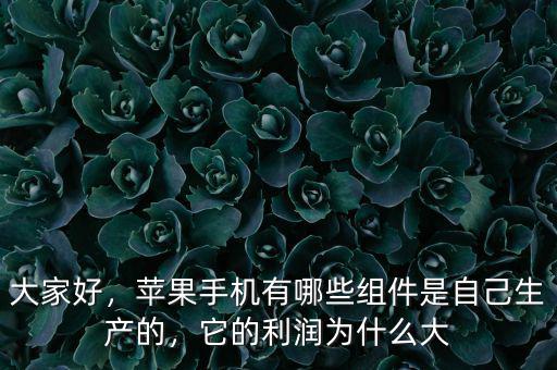 大家好，蘋果手機(jī)有哪些組件是自己生產(chǎn)的，它的利潤為什么大
