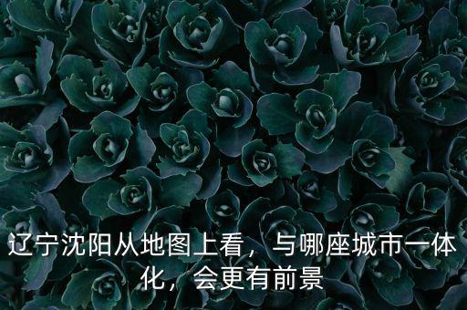 遼寧沈陽(yáng)從地圖上看，與哪座城市一體化，會(huì)更有前景