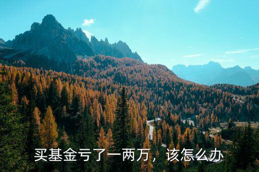 買基金虧了一兩萬(wàn)，該怎么辦