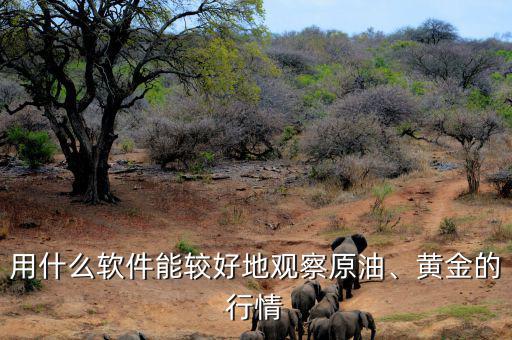 用什么軟件能較好地觀察原油、黃金的行情