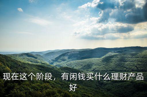 現(xiàn)在這個(gè)階段，有閑錢買什么理財(cái)產(chǎn)品好