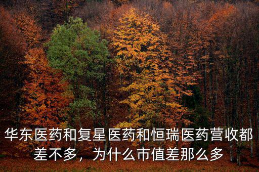 華東醫(yī)藥和復(fù)星醫(yī)藥和恒瑞醫(yī)藥營收都差不多，為什么市值差那么多