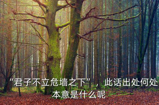 “君子不立危墻之下”，此話出處何處本意是什么呢
