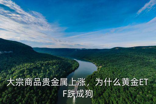 大宗商品貴金屬上漲，為什么黃金ETF跌成狗