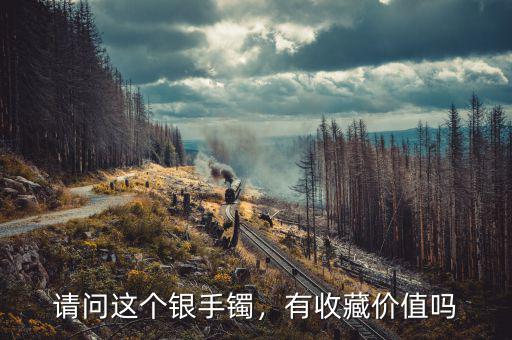 請問這個(gè)銀手鐲，有收藏價(jià)值嗎