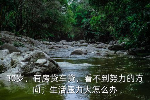 30歲，有房貸車貸，看不到努力的方向，生活壓力大怎么辦