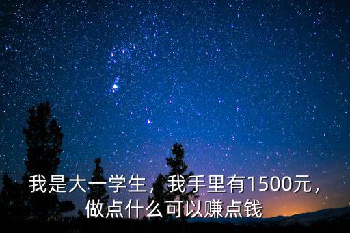 我是大一學生，我手里有1500元，做點什么可以賺點錢