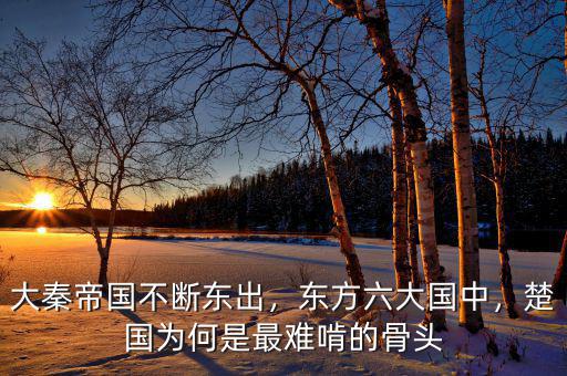 大秦帝國不斷東出，東方六大國中，楚國為何是最難啃的骨頭