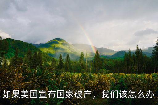 如果美國(guó)宣布國(guó)家破產(chǎn)，我們?cè)撛趺崔k