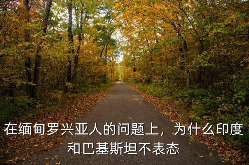在緬甸羅興亞人的問(wèn)題上，為什么印度和巴基斯坦不表態(tài)