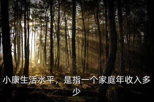 小康生活水平，是指一個家庭年收入多少