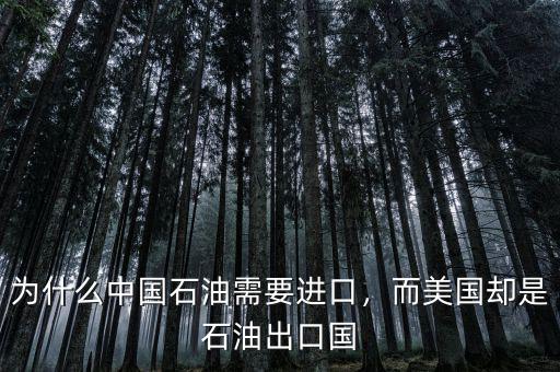 為什么中國石油需要進(jìn)口，而美國卻是石油出口國
