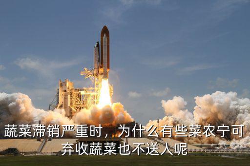 蔬菜滯銷(xiāo)嚴(yán)重時(shí)，為什么有些菜農(nóng)寧可棄收蔬菜也不送人呢