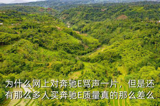 為什么網(wǎng)上對奔馳E罵聲一片，但是還有那么多人買奔馳E質(zhì)量真的那么差么