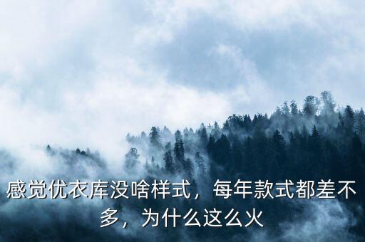 感覺優(yōu)衣庫沒啥樣式，每年款式都差不多，為什么這么火