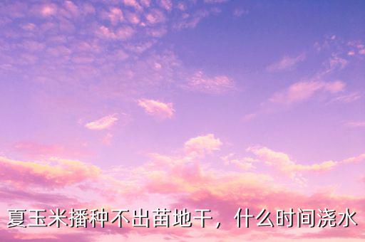 夏玉米播種不出苗地干，什么時間澆水