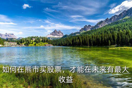 如何在熊市買股票，才能在未來(lái)有最大收益