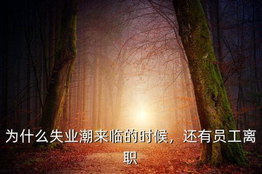 為什么失業(yè)潮來臨的時候，還有員工離職