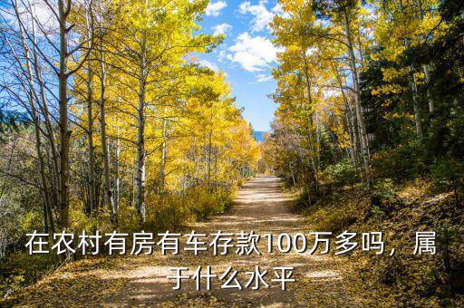 在農(nóng)村有房有車存款100萬多嗎，屬于什么水平
