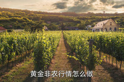 非農怎么布局,非農行情怎么做