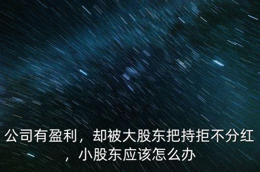 公司有盈利，卻被大股東把持拒不分紅，小股東應(yīng)該怎么辦