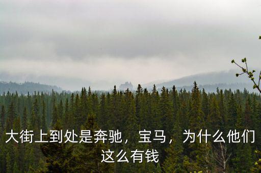 大街上到處是奔馳，寶馬，為什么他們這么有錢