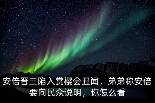 日本民眾怎么看安倍,弟弟稱(chēng)安倍要向民眾說(shuō)明