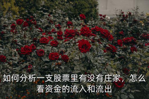 如何分析一支股票里有沒有莊家，怎么看資金的流入和流出