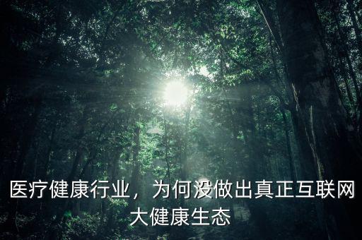 醫(yī)療健康行業(yè)，為何沒做出真正互聯(lián)網大健康生態(tài)