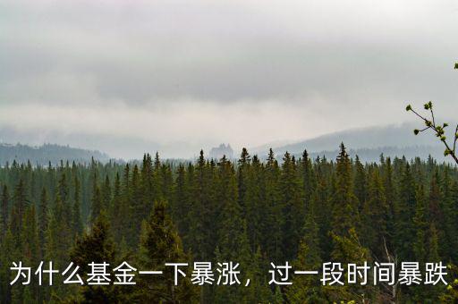 為什么基金一下暴漲，過一段時(shí)間暴跌
